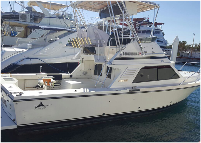 33' Black- in-Fishing Boat 6 Passengers, La Paz Mexico